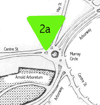 map of Arborway at Murray Circle