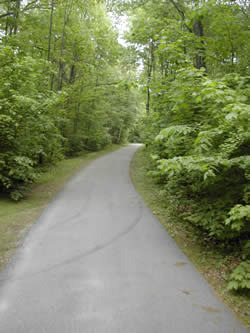 Jamaicaway Bikepath