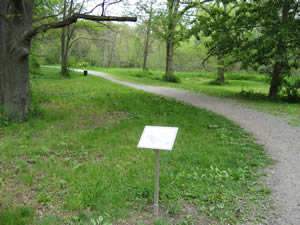Blackwell Path