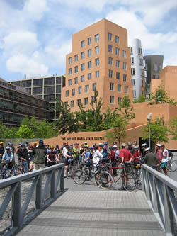 MIT Stata Center