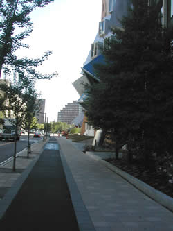 Vassar St. Bikelane 